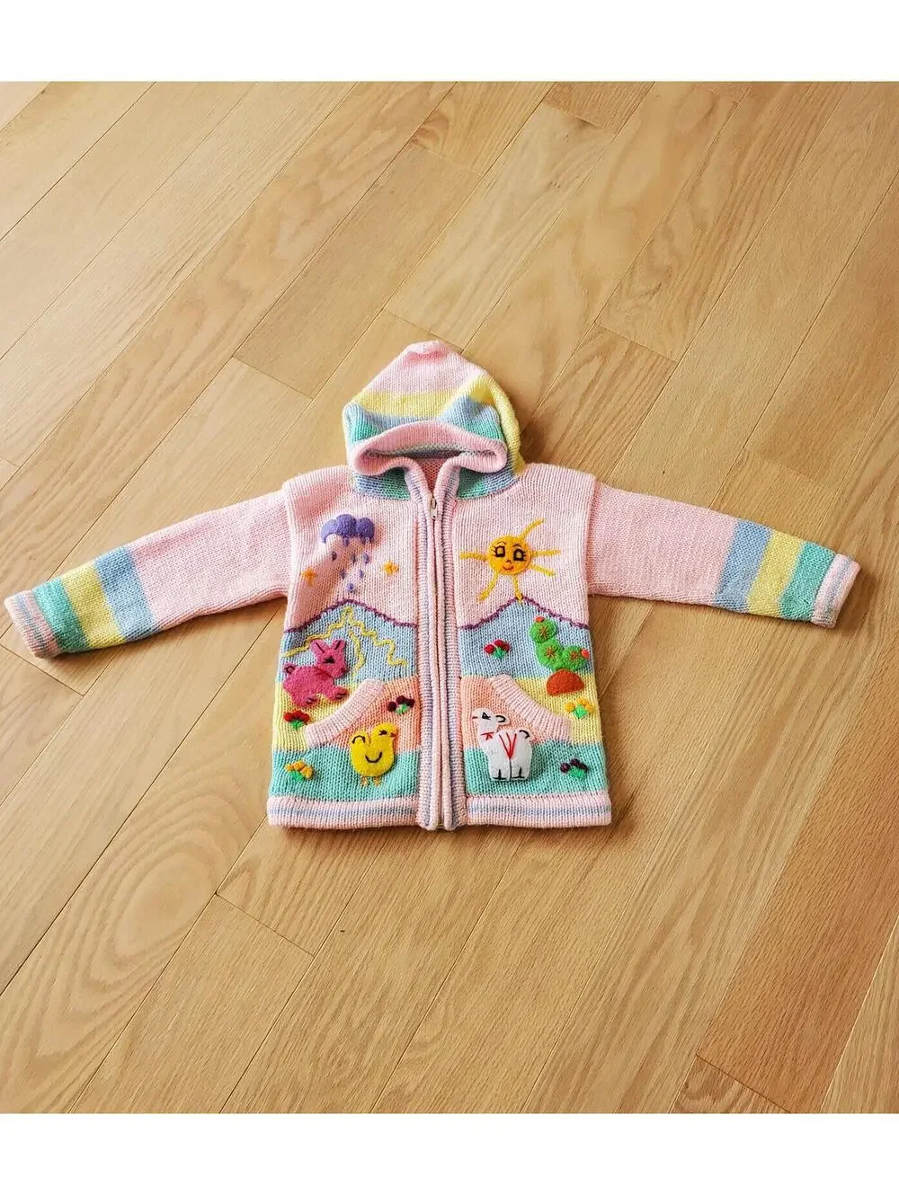 Handmade Alpaca Wool Colorful Hooded Kids Sweater with Animal Embroidery